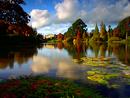 Sheffield park Gardens
